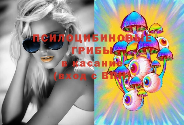 дживик Волоколамск