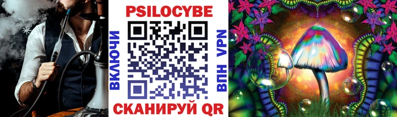 купить наркотик Орехово-Зуево Псилоцибиновые грибы Psilocybine cubensis